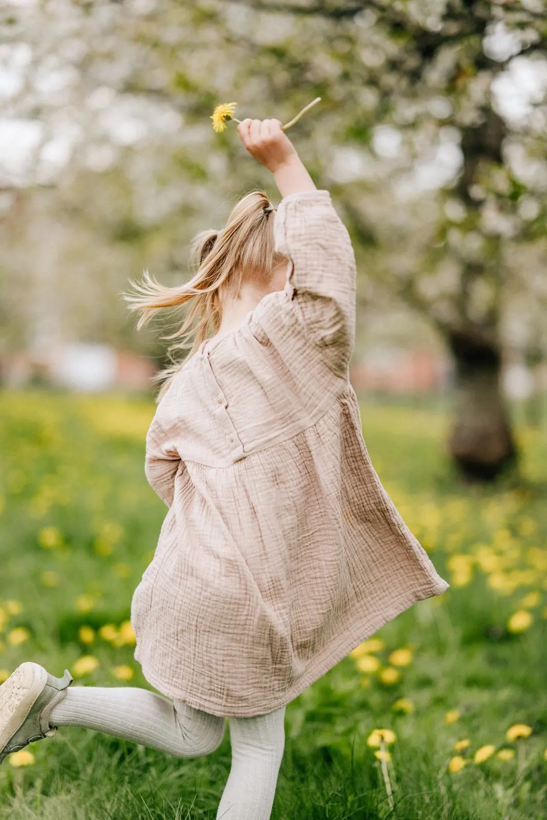 Mädchen im rosa Kleid hält eine Pusteblume in die Luft, Obstwiese im Alten Land